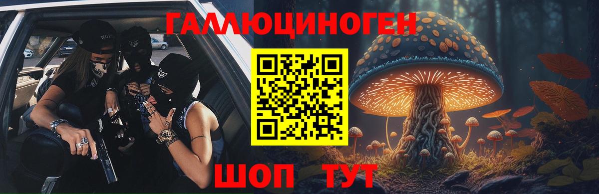 Черногорск  Псилоцибиновые грибы мухоморы  Вход с VPN 